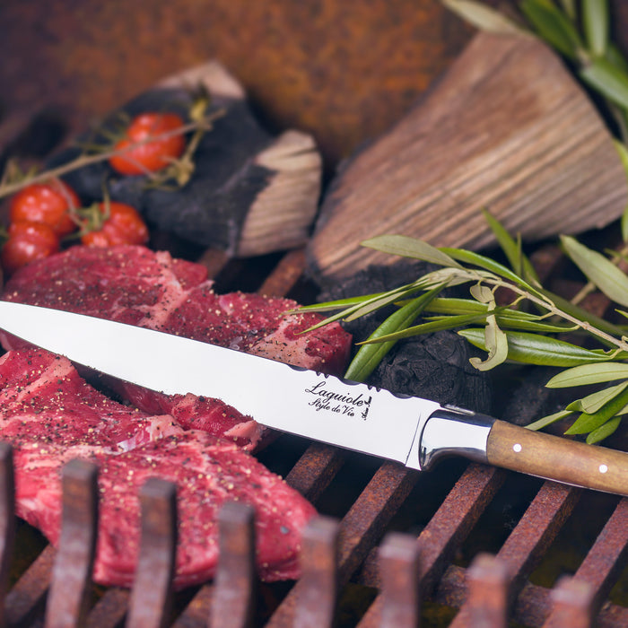 Laguiole Style de Vie Messenset 5-delig met Magnetisch Messenblok