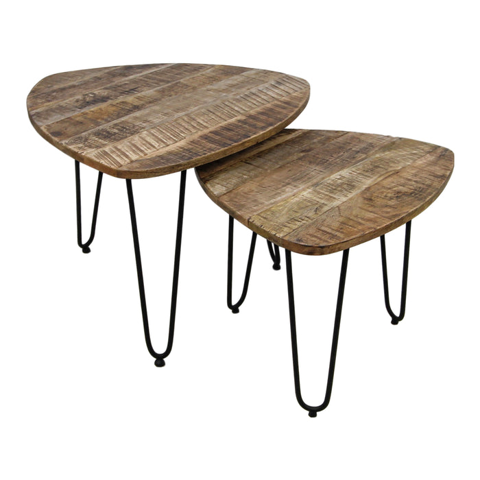 HSM Collection Dexter Salontafel Set van 2