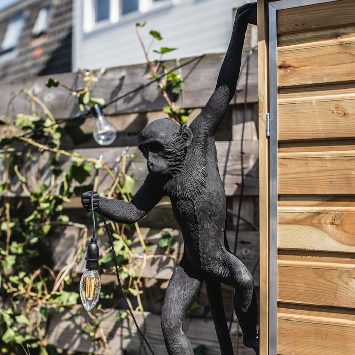 Seletti Monkey Outdoor Lampresin Hanging