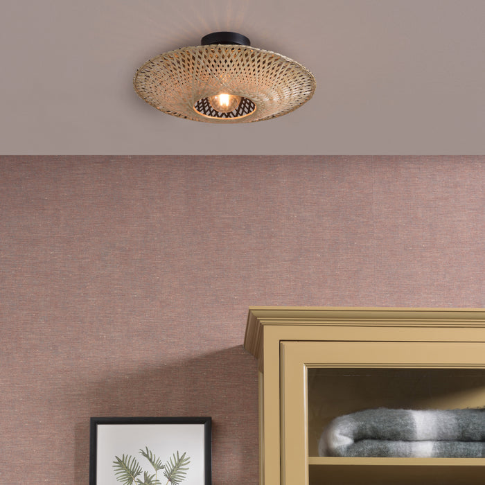 299564-x01.jpg (2819861) 