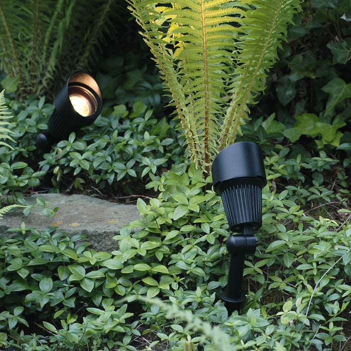 Garden Lights Focus Spot 12V