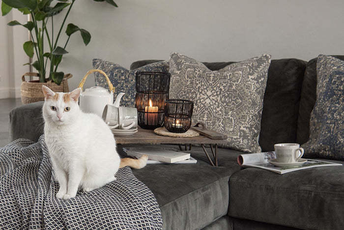 9dfeb486-763e-42cb-b649-c83c03569051-afbeelding12.jpg (2848003) 