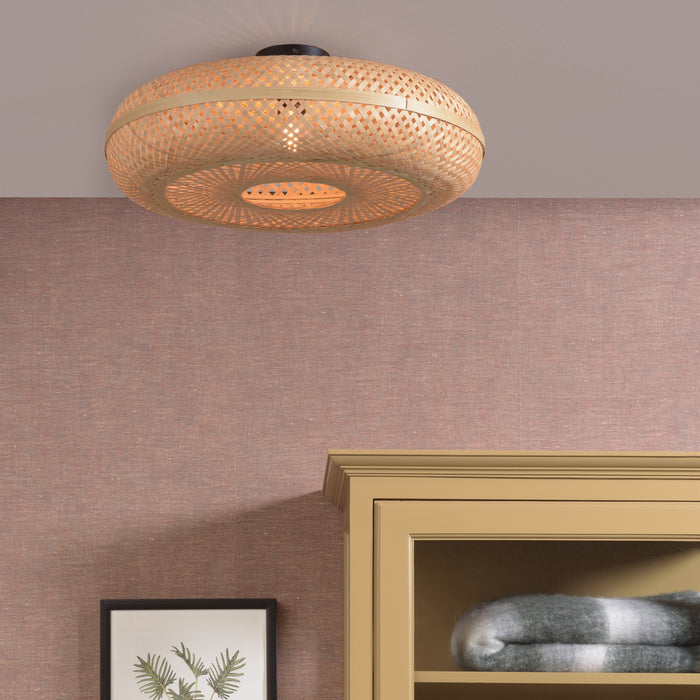 299582-x01.jpg (2871538) 