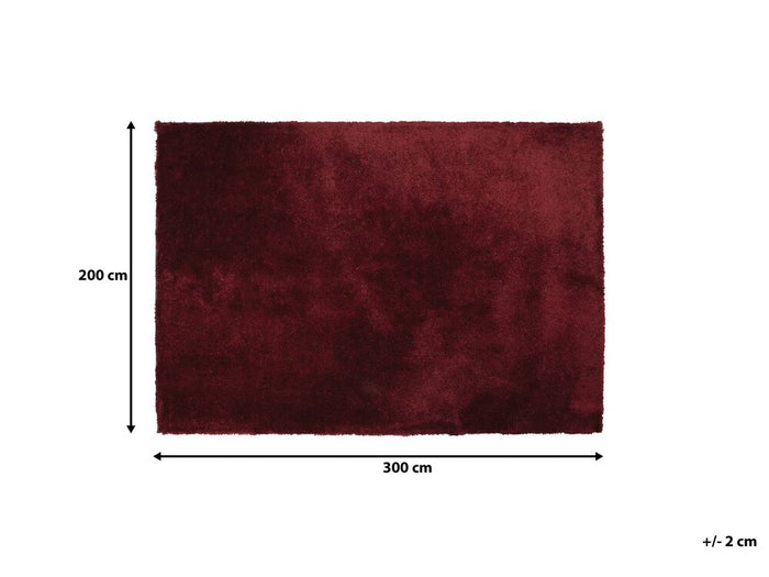 Beliani - EVREN  - Shaggy vloerkleed - Rood - 200 x 300 cm - Polyester