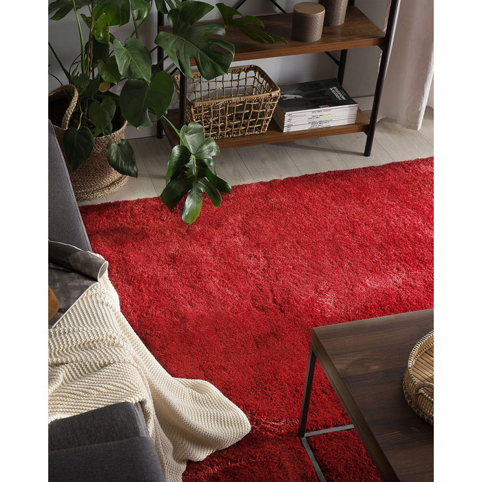 Beliani - EVREN  - Shaggy vloerkleed - Rood - 200 x 300 cm - Polyester