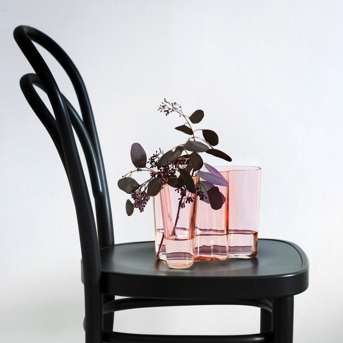 Iittala Alvar Aalto Vaas 16 cm
