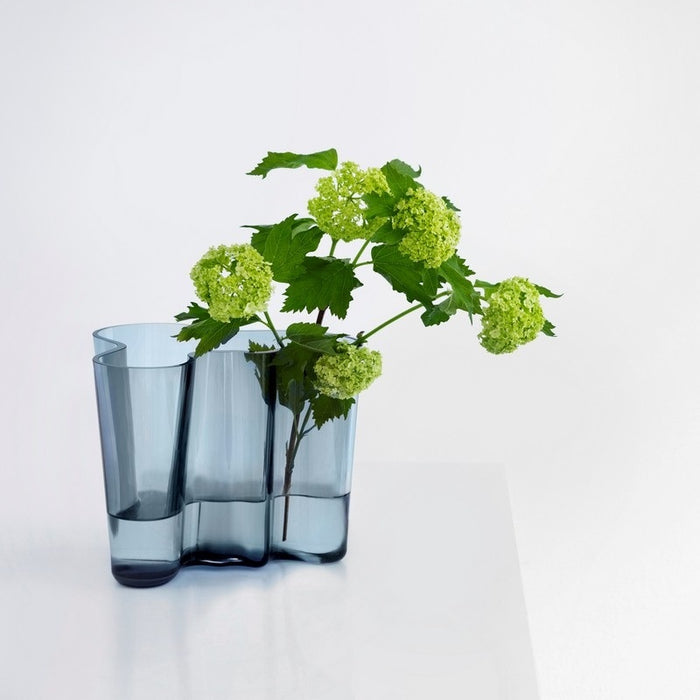 Iittala Alvar Aalto Vaas 16 cm
