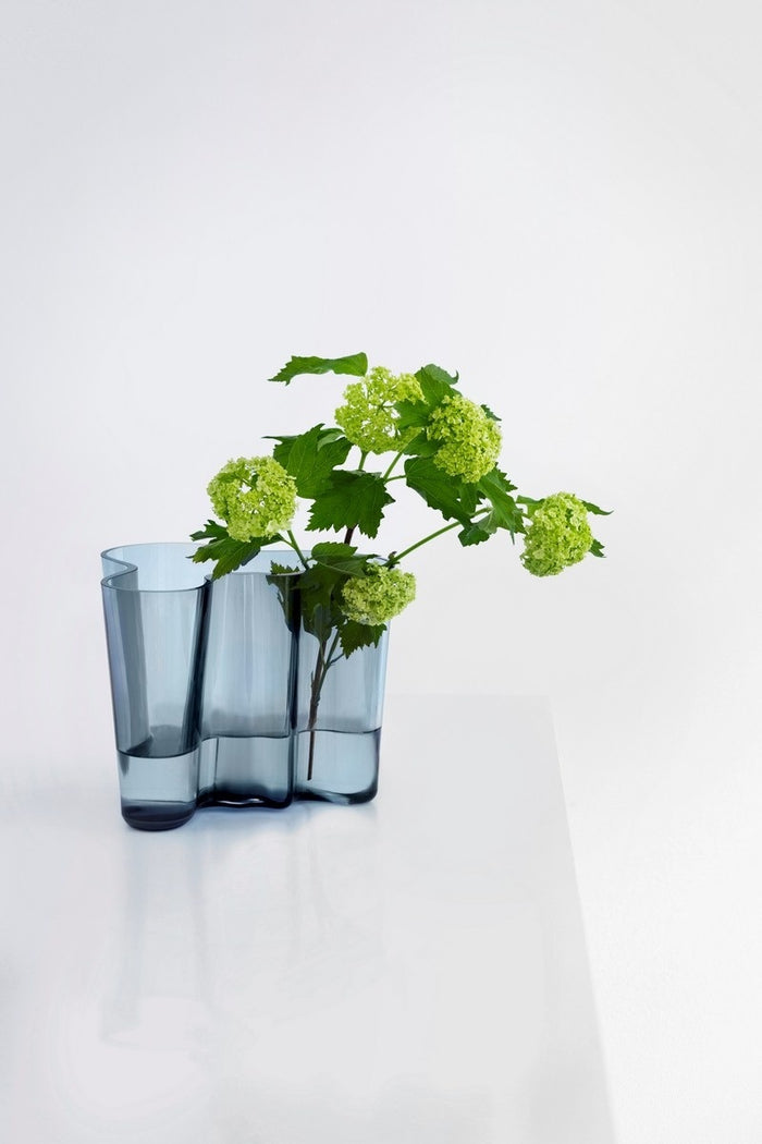 Iittala Alvar Aalto Vaas 16 cm