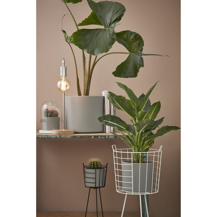 0acf207f-874b-4900-a4ae-27213fc991db-afbeelding6.jpg (2966422) 