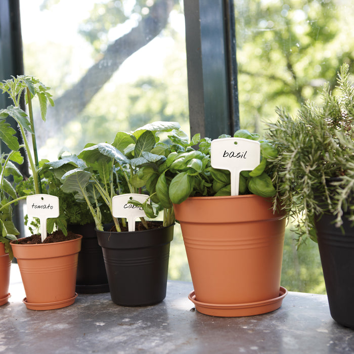 Elho Green Basics Plantlabels M - Set van 5