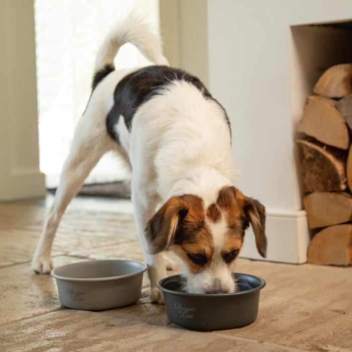 Designed By Lotte Feribo Voer- en drinkbak Hond