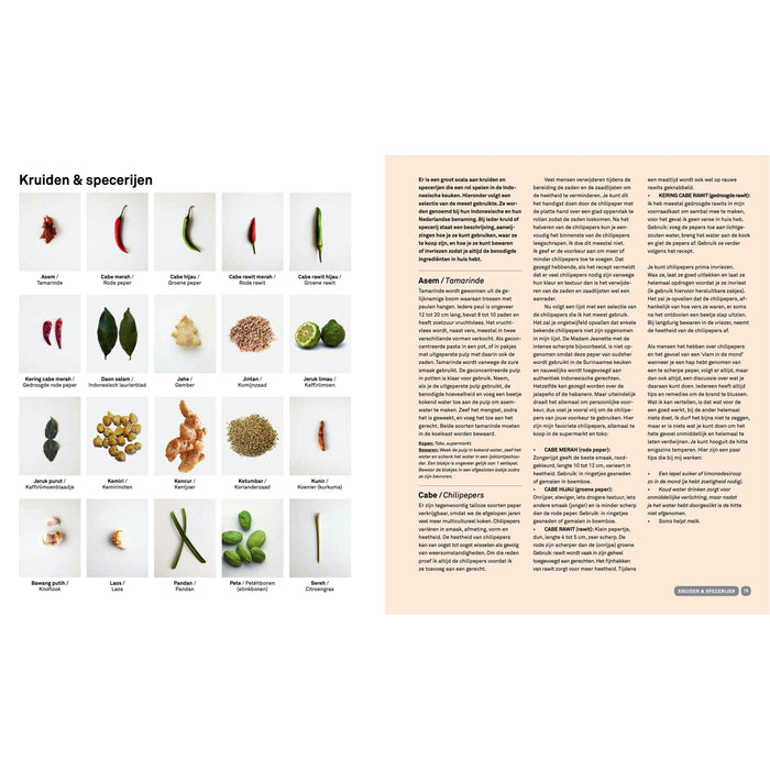 Basisboek Indonesisch - Francis Kuijk