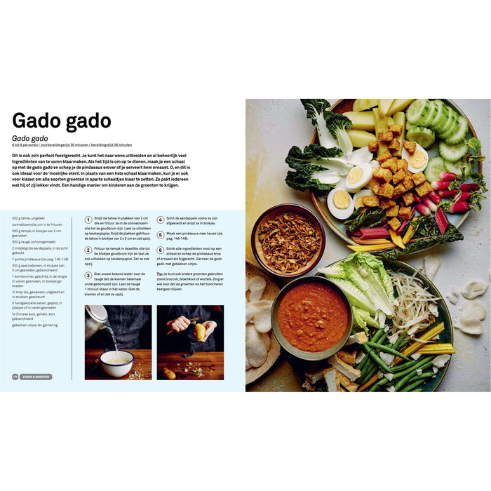 Basisboek Indonesisch - Francis Kuijk