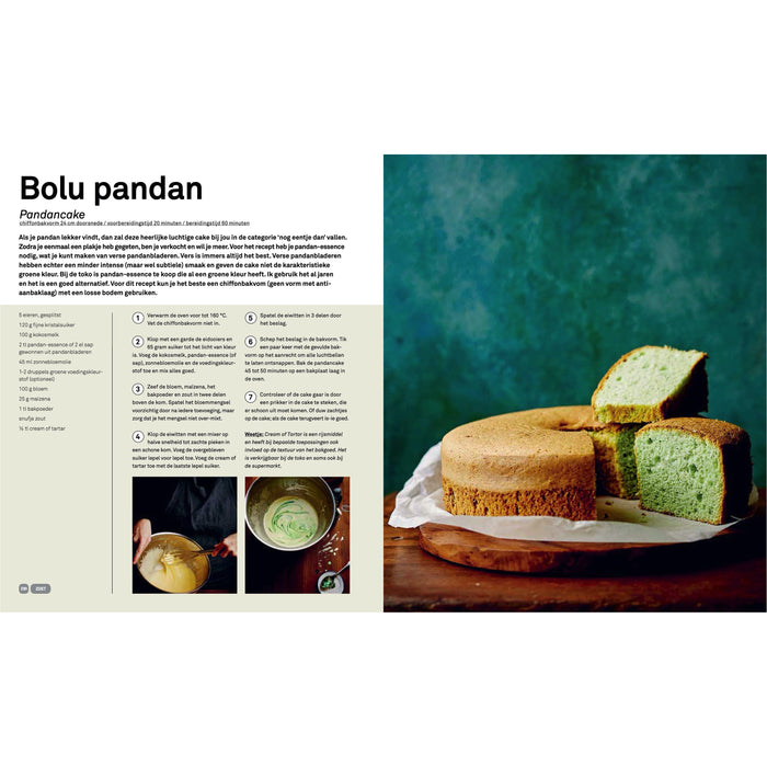 Basisboek Indonesisch - Francis Kuijk