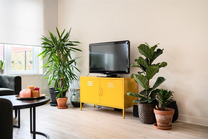 99082003-aac8-454c-8c4c-9981fe155aaa-afbeelding9.jpg (3054939) 