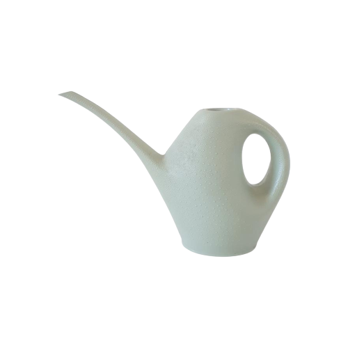 Reliving Mintgroene Vintage Gieter Vitri Bloemgieter Plantengieter