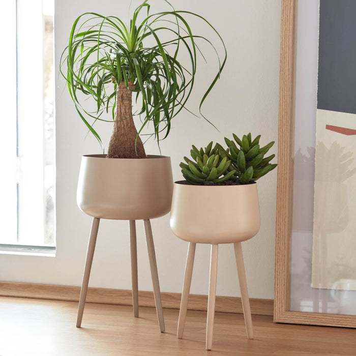 309657-x01.jpg (3084427) 