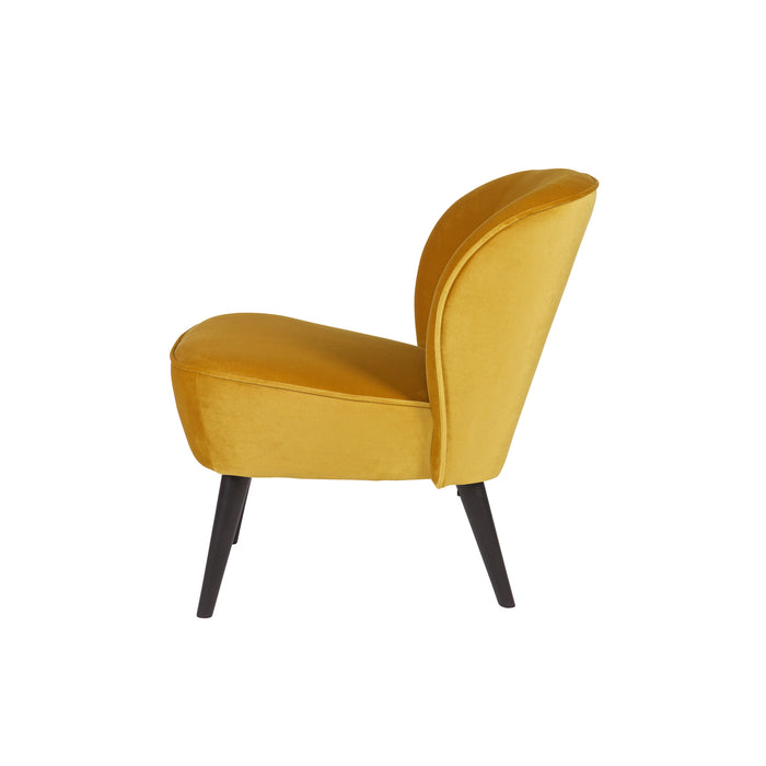 209666-x2.jpg (3107810) 