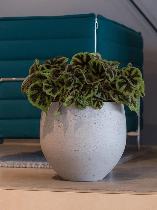 495a4be6-fa29-4d24-9f5c-94443af70f4b-afbeelding10.jpg (3116495) 