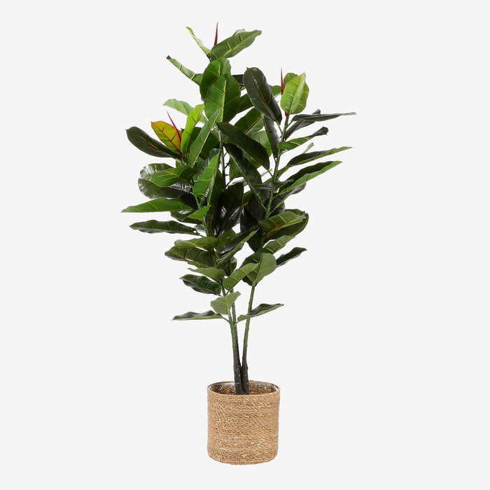 Mica Decorations Rubberplant Kunstplant - H120 x Ø60 cm - Groen