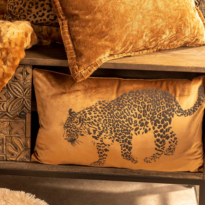 dcd7f569-5a69-409d-b5cb-2ae43fcba0f4-afbeelding4.jpg (3125567) 