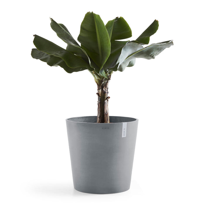 Ecopots Amsterdam 50