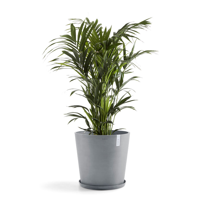 Ecopots Amsterdam 50