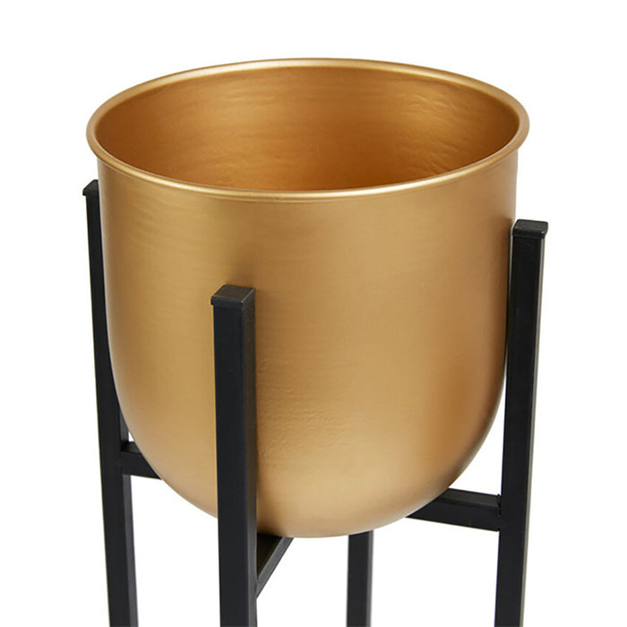 302677-x3.jpg (3140656) 