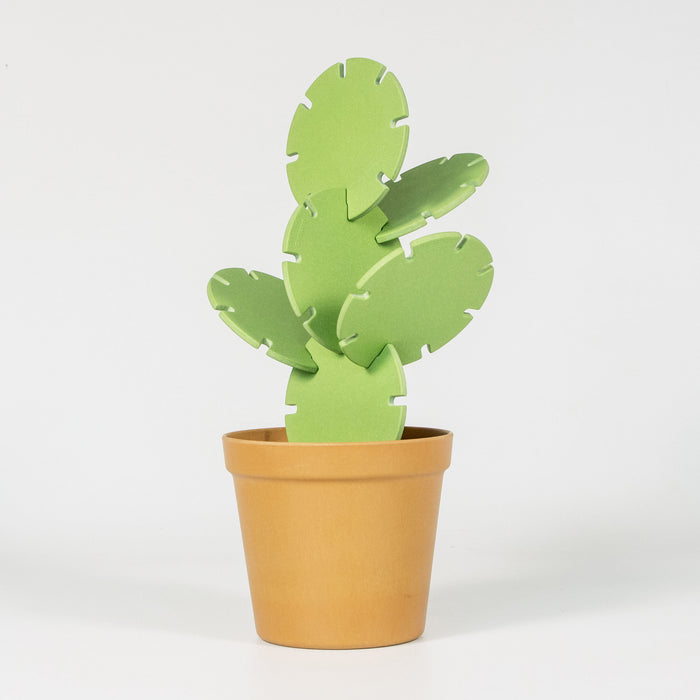 Suck UK Cactus Onderzetters