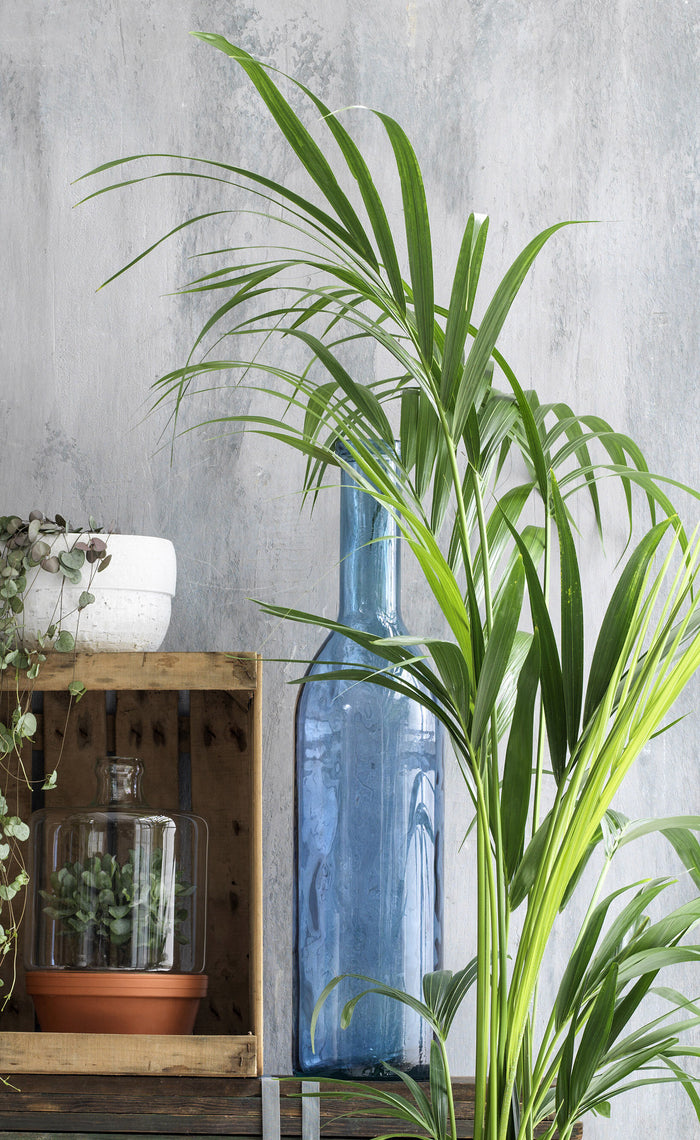 Mica Decorations Rioja Glazen Fles - H50 x Ø15 cm - Lichtblauw