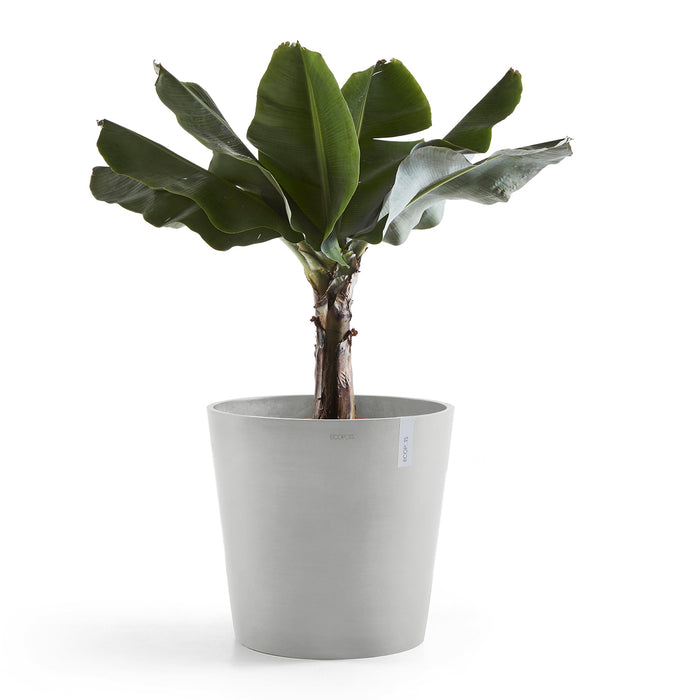 Ecopots Amsterdam 50