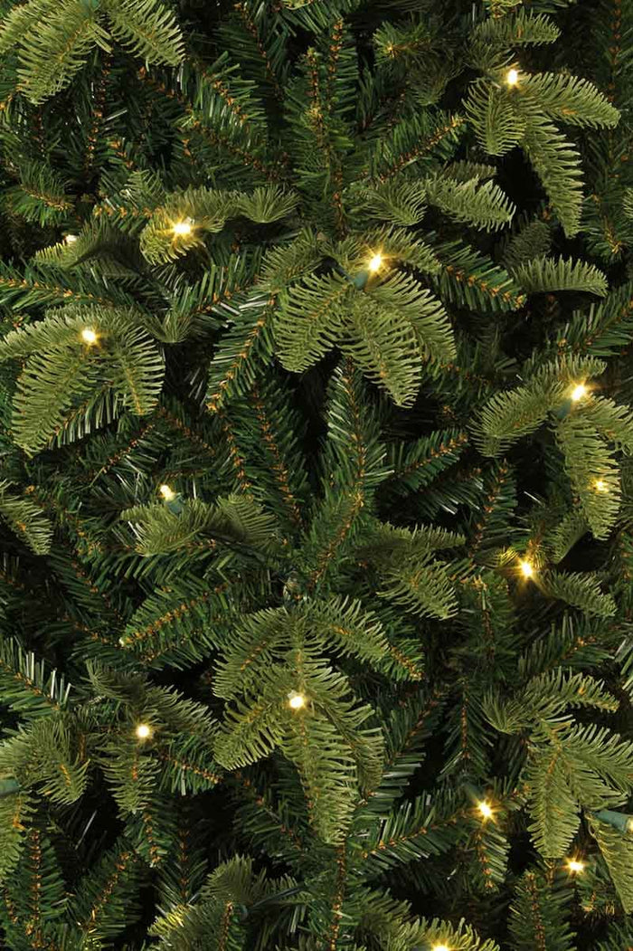 Black Box Finest Deluxe Kunstkerstboom - 200 warmwitte led - H185