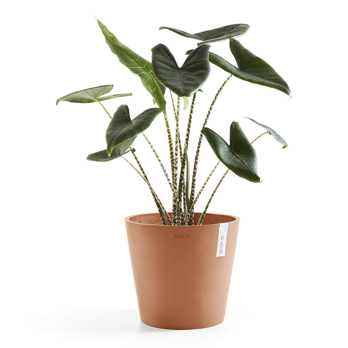 Ecopots Amsterdam 40