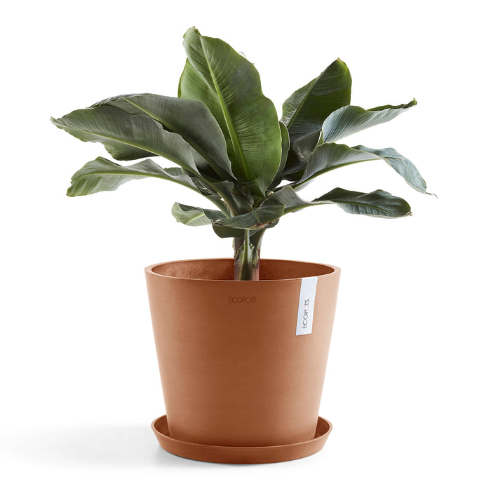 Ecopots Amsterdam 40