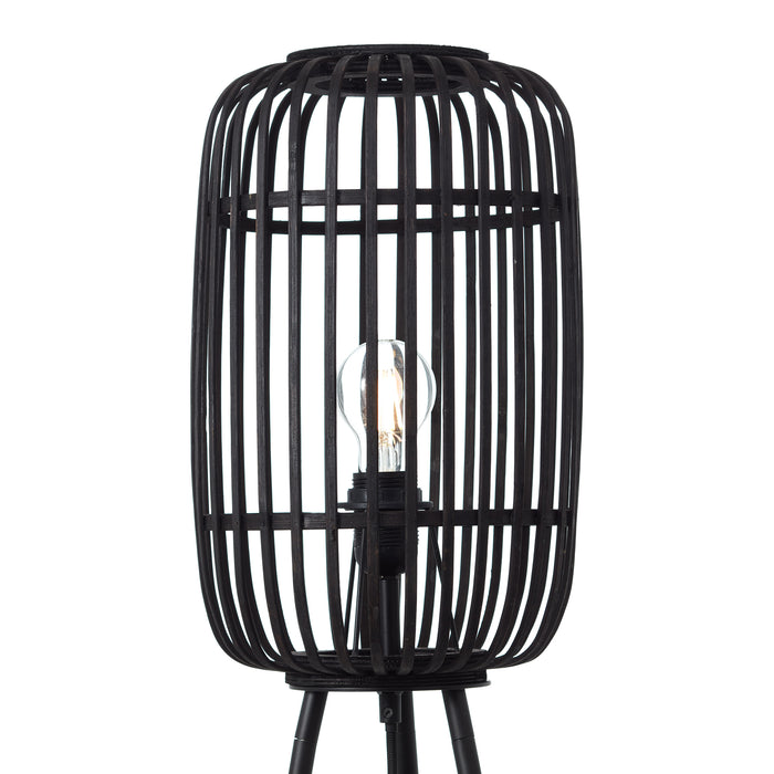 310689-x05.jpg (3173531) 