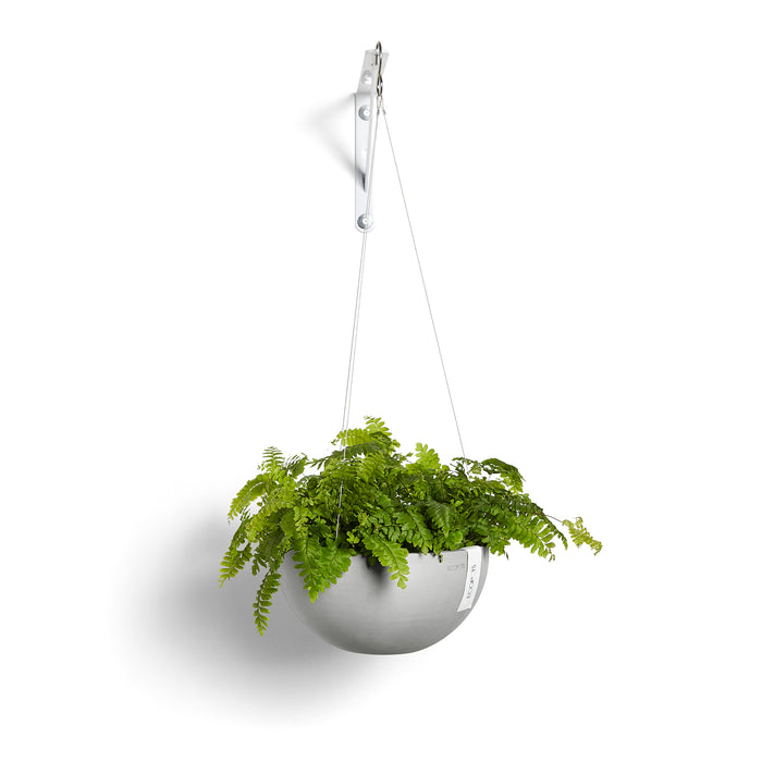 Ecopots Hanging Brussels