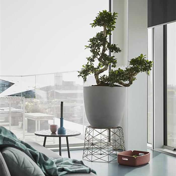 Capi Europe Urban Smooth Egg Planter Bloempot 35 cm