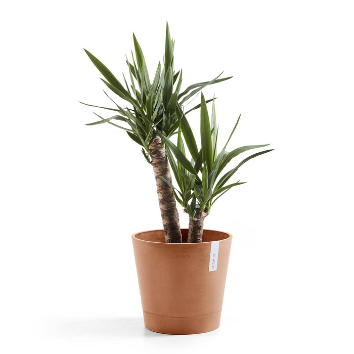 Ecopots Venice