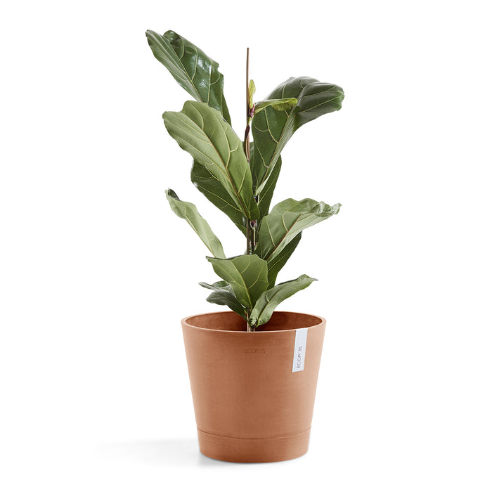 Ecopots Venice