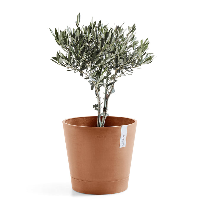 Ecopots Venice