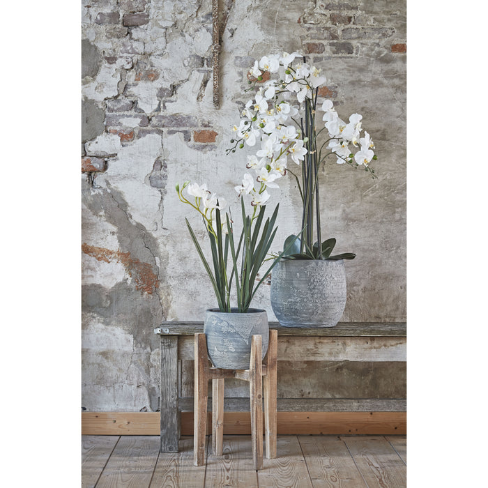 c9e6a695-c0cc-4d3c-8e39-bdd16576f9fe-sfeerbeeld.jpg (3198662) 