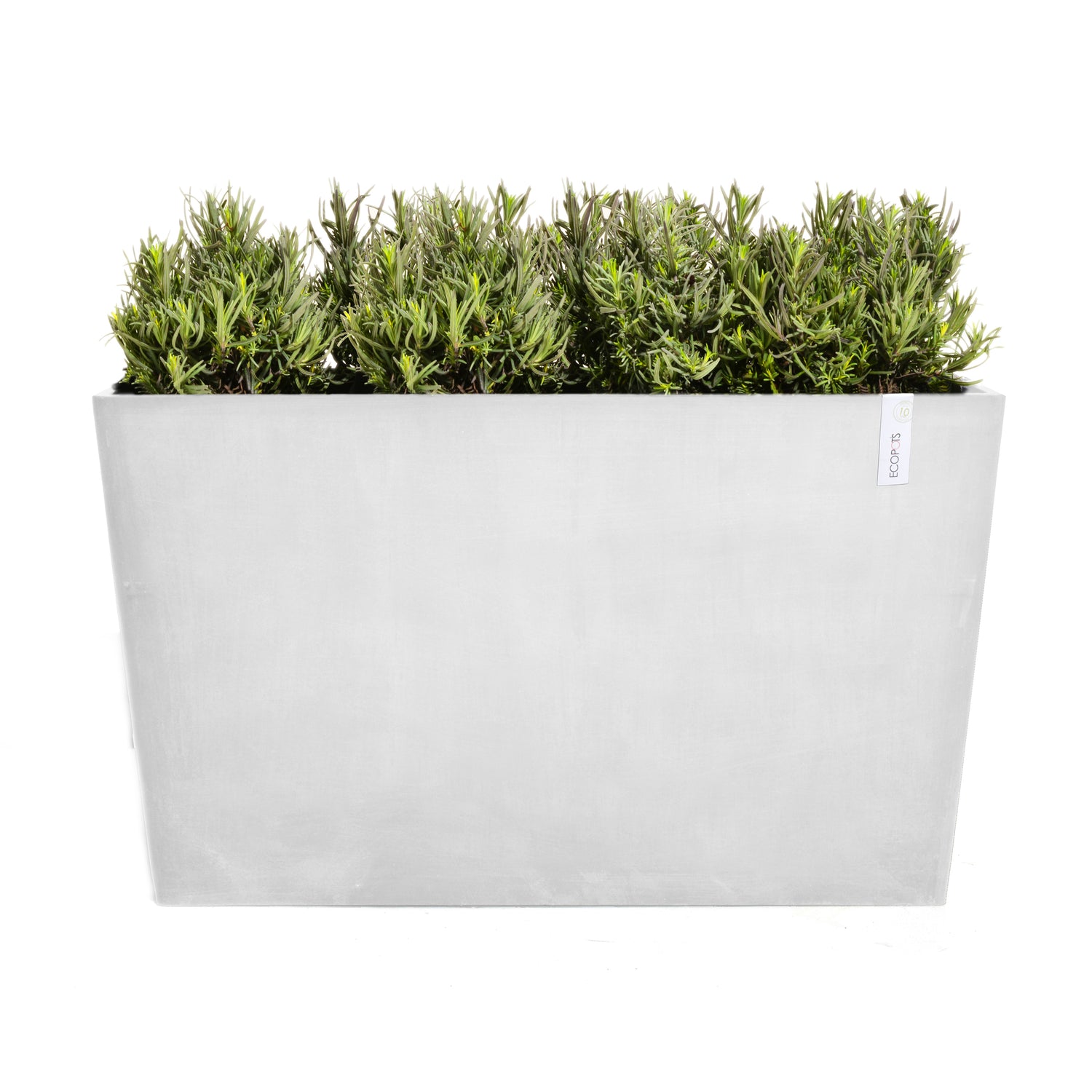 Ecopots Paris 100