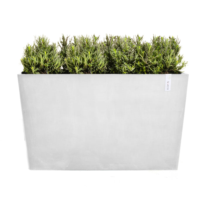 Ecopots Paris 100