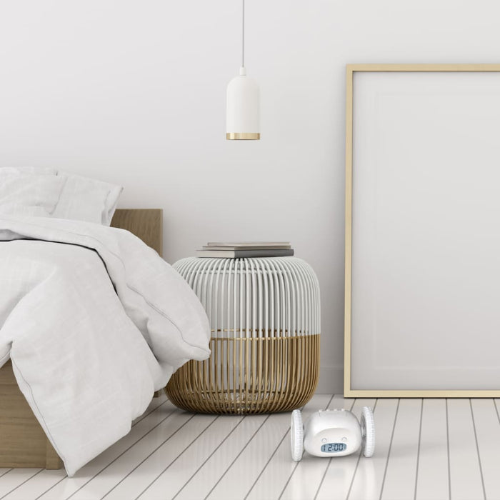 ccd0bafd-bc12-41b8-971f-84405b498f09-afbeelding4.jpg (3209926) 