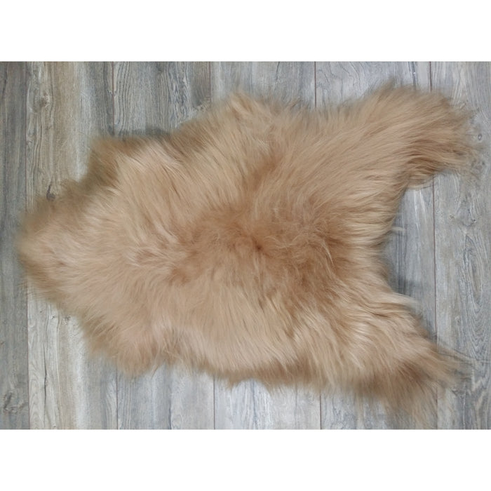 168dfe6b-78dd-4873-8bf6-1a851ef8fa16-afbeelding3.jpg (3217519) 