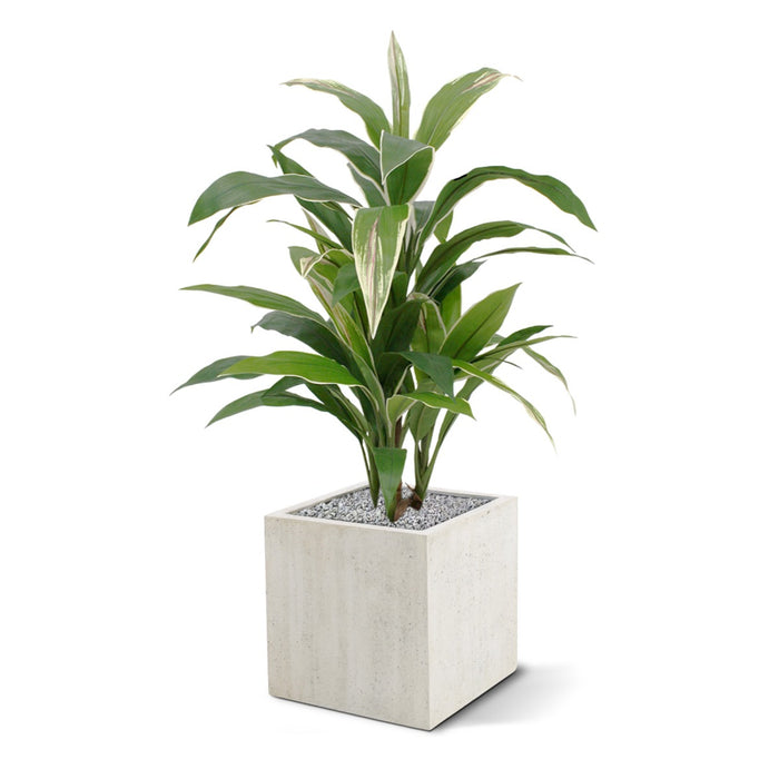 eba3bf75-5967-4880-9793-4a32a4459a8c-sfeerbeeld.jpg (3221683) 