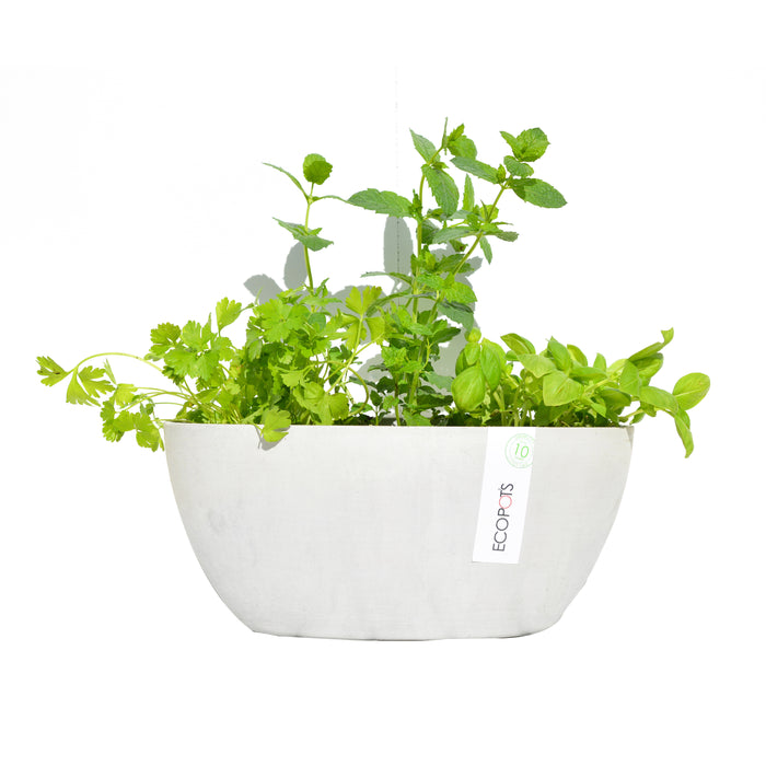 Ecopots Sofia 30