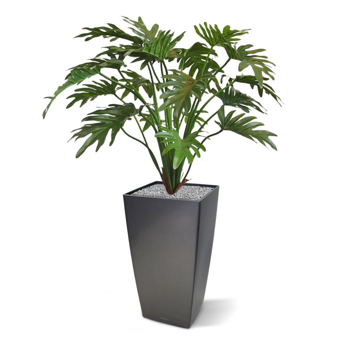 76ff2cb5-d8eb-4476-a686-70c6e71b4588-sfeerbeeld.jpg (3229667) 