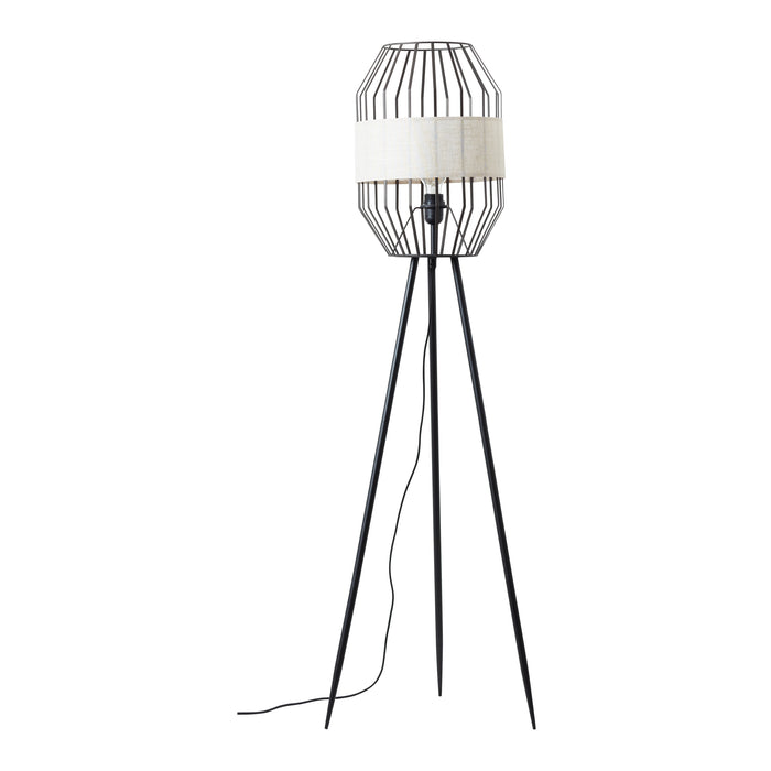 310711-x02.jpg (3233285) 