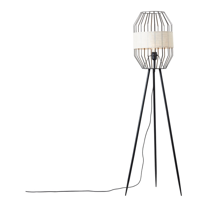 310711-x03.jpg (3233286) 